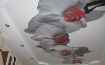 Новинки натяжных потолков