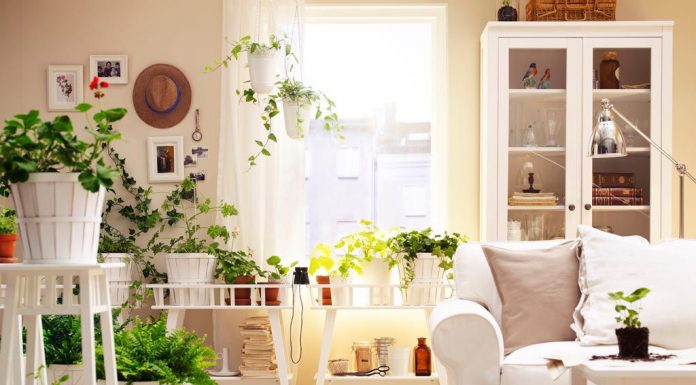 Декор интерьера цветами. 9 тонкостей