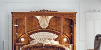 Тайны древесных пород