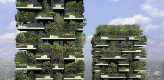 Ритмичные композиции вертикального озеленения