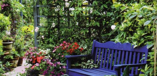 Cкамейка в саду