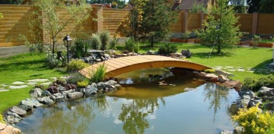 Благоустройство водного сада Пруд