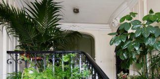 Растения на лестничной клетке