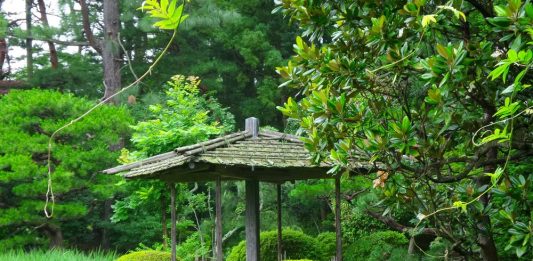 Секреты красоты