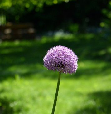 Советы для нетерпеливых