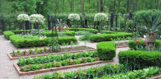 Ландшафт огородного типа Ландшафт огородного типа