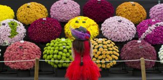 Chelsea Flower Show