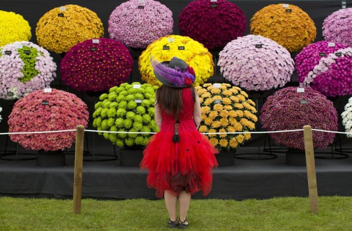 Chelsea Flower Show