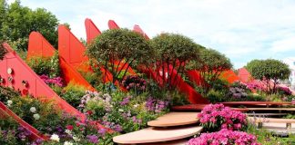 Chelsea Flower Show