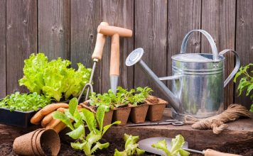 И вкусный и для огорода полезный Огород