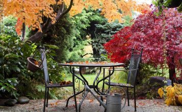 Садовые растения