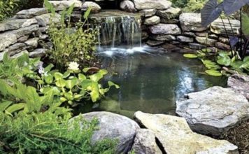 Как сделать мини-пруд на вашем участке Мини-пруд на вашем участке