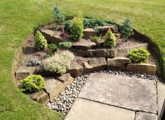 Рокарий в вашем саду