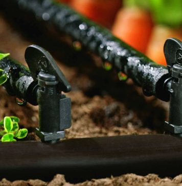Система капельного полива