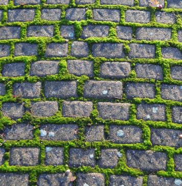 Как избавится от травы между тротуарной плиткой? Как избавится от травы между тротуарной плиткой