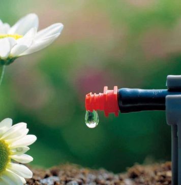 Полив растений