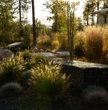 Дикий и идиллический сад Дикий сад