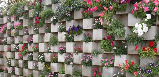 Вертикальный сад