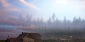 Виды срубленного дома