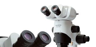 Мультидисциплинарное применение микроскопа Olympus SZX16: от биомедицины до промышленности*