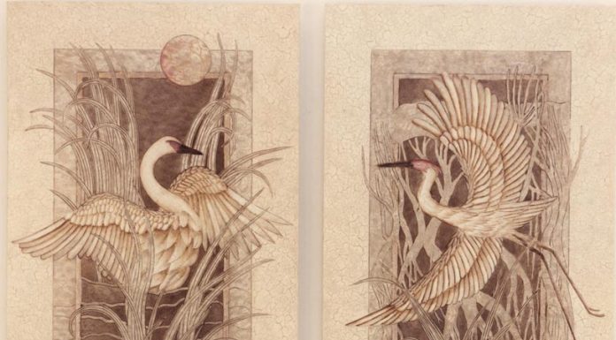 Лучшие советы от дизайнера по интерьеру